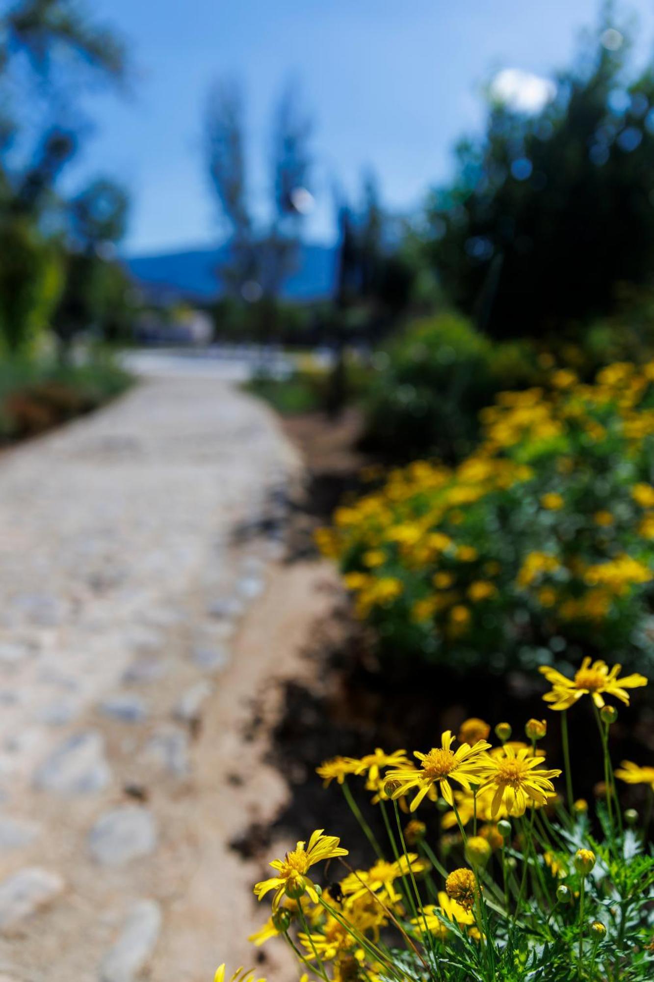 Finca Las Pecas Zambra 외부 사진